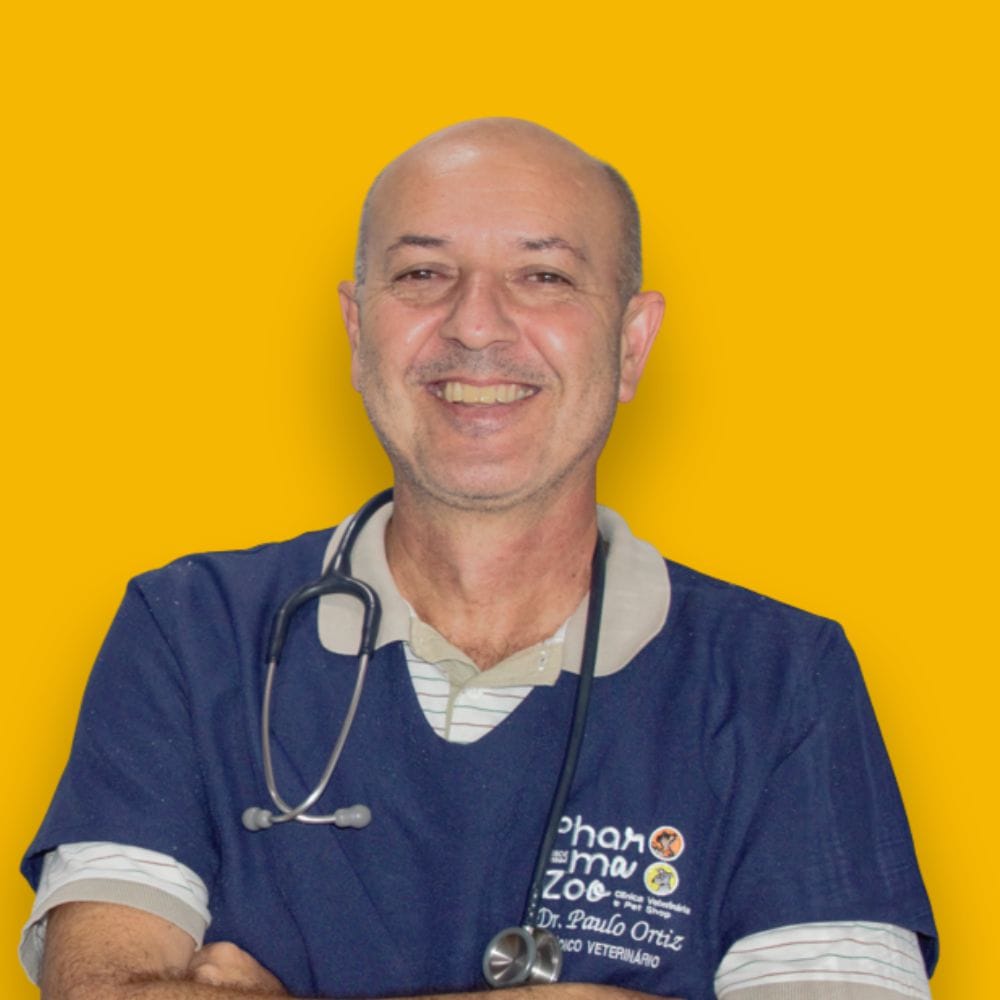 Paulo Ortiz