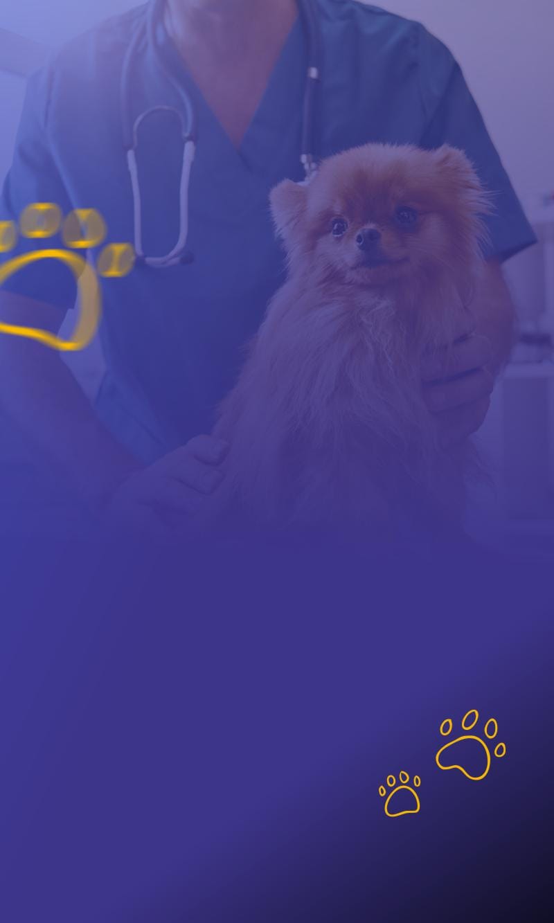 Fundo Mobile