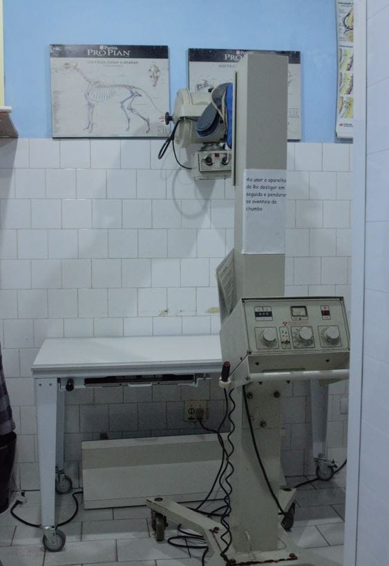 Galeria