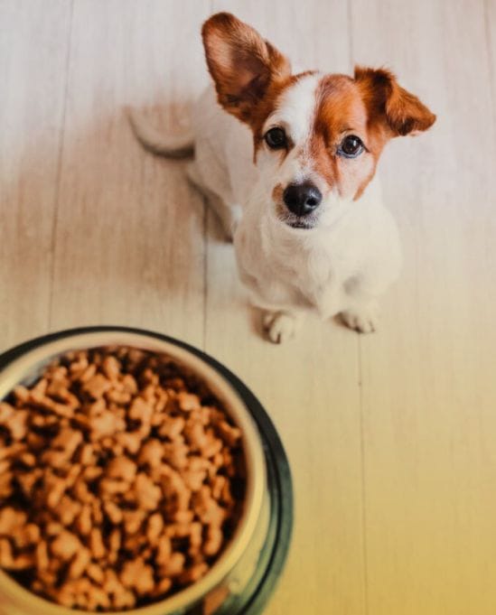 Rações e Alimentos